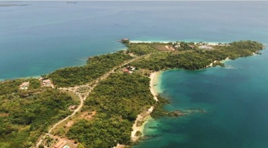 Beach Lot For Sale in Pedro GonzáLez,