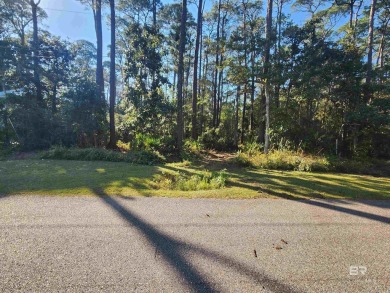 Beach Lot For Sale in Dauphin Island, Alabama