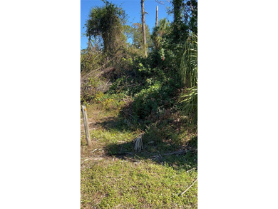 Beach Lot For Sale in North Port, Florida