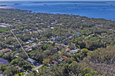 Beach Lot For Sale in Crystal Beach, Florida