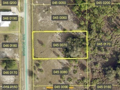 Beach Lot Sale Pending in Lehigh Acres, Florida