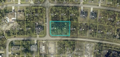 Beach Lot For Sale in Lehigh Acres, Florida