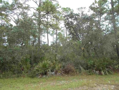 Beach Lot For Sale in Panacea, Florida