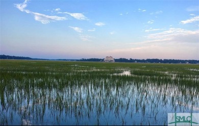 Beach Lot Off Market in Savannah, Georgia