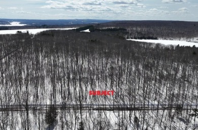 Beach Acreage For Sale in Houghton, Michigan