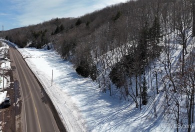 Beach Acreage For Sale in Atlantic Mine, Michigan