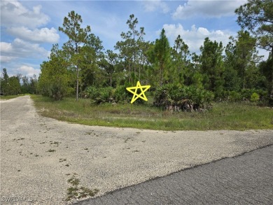 Beach Lot For Sale in Lehigh Acres, Florida