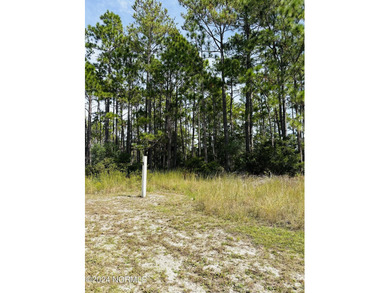 Lot For Sale in Shallotte image photo picture