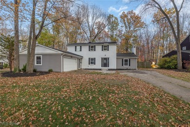 Beach Home Sale Pending in Avon Lake, Ohio