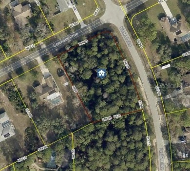 Beach Lot For Sale in Spring Hill, Florida