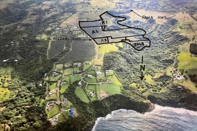 Beach Acreage For Sale in Haiku, Hawaii