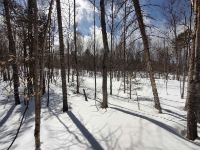 Beach Acreage For Sale in Christmas, Michigan