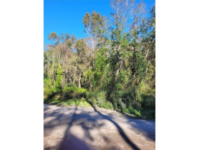 Beach Lot For Sale in New Port Richey, Florida