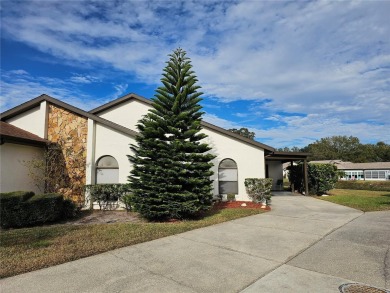 Beach Home For Sale in Weeki Wachee, Florida