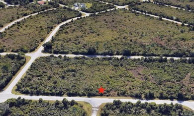 Beach Lot For Sale in Port Charlotte, Florida