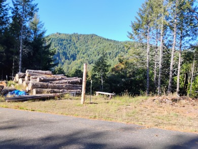 Beach Lot For Sale in Shelter Cove, California