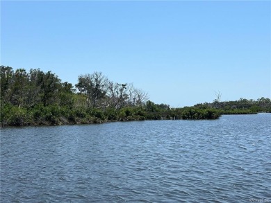 Beach Lot For Sale in Crystal River, Florida