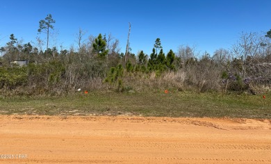 Beach Lot For Sale in Panama City, Florida