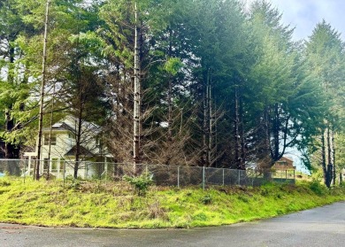 Beach Lot For Sale in Shelter Cove, California