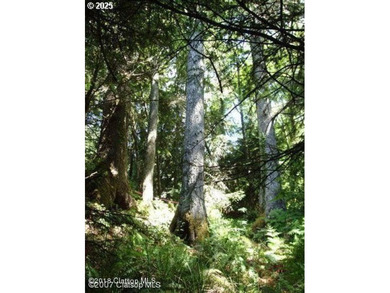 Beach Lot For Sale in Cannon Beach, Oregon