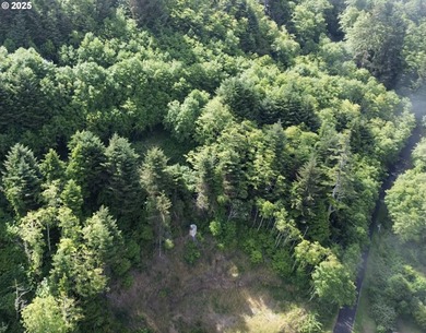 Beach Lot For Sale in Yachats, Oregon