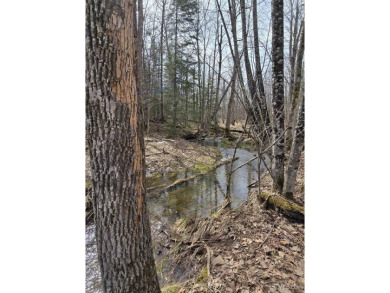 Beach Acreage For Sale in Ontonagon, Michigan