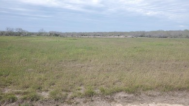 Beach Lot For Sale in Riviera, Texas