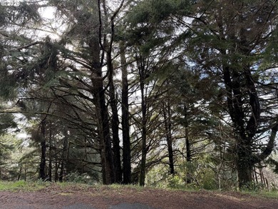 Beach Lot For Sale in Rockaway Beach, Oregon