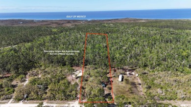 Beach Acreage For Sale in Perry, Florida