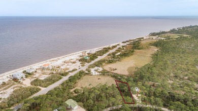 Beach Lot Sale Pending in Bald Point, Florida