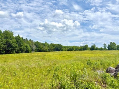 Beach Acreage For Sale in Franklin, Maine