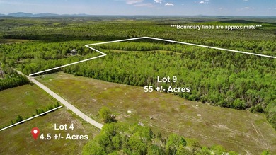 Beach Acreage For Sale in Franklin, Maine