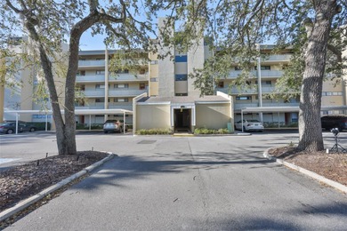 Beach Condo For Sale in Tampa, Florida