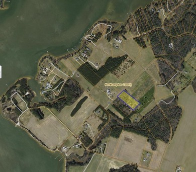 Beach Acreage Sale Pending in Machipongo, Virginia