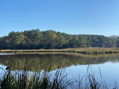 Beach Acreage For Sale in Belle Haven, Virginia