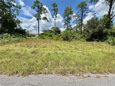 Beach Lot For Sale in Lehigh Acres, Florida