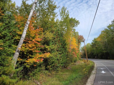 Beach Lot For Sale in Manistique, Michigan