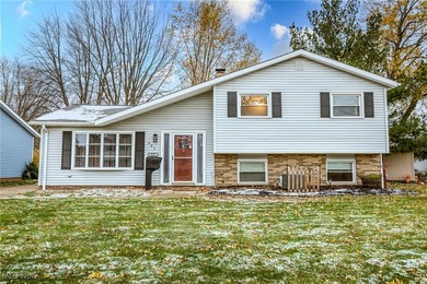 Beach Home For Sale in Eastlake, Ohio