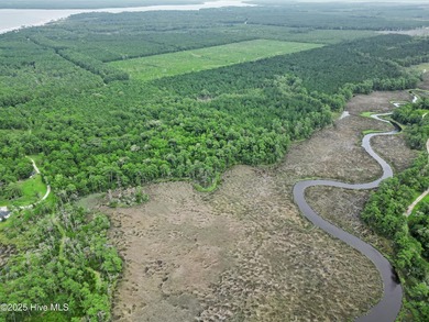 Beach Acreage For Sale in Beaufort, North Carolina