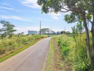 Beach Acreage For Sale in Pepeekeo, Hawaii