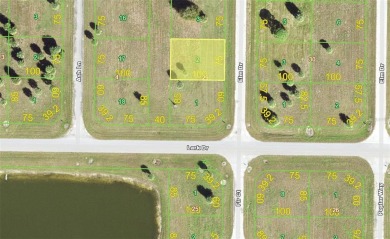 Beach Lot For Sale in Placida, Florida