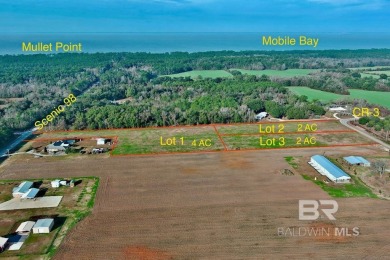 Beach Acreage For Sale in Fairhope, Alabama