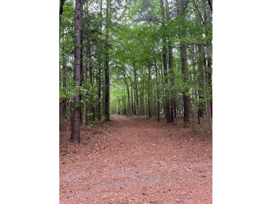 Beach Acreage For Sale in Melfa, Virginia