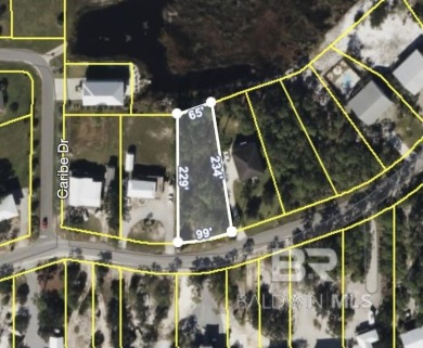 Beach Lot For Sale in Orange Beach, Alabama