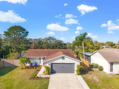 Beach Home Sale Pending in New Port Richey, Florida