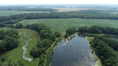 Beach Acreage For Sale in Parksley, Virginia