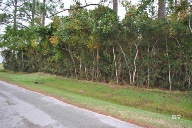 Beach Lot For Sale in Orange Beach, Alabama