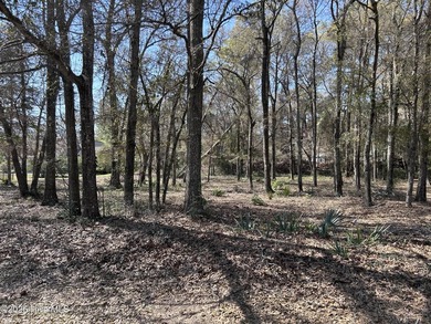Lot For Sale in Supply image photo picture
