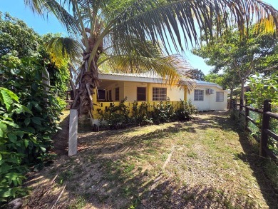 Beach Home For Sale in Placencia,