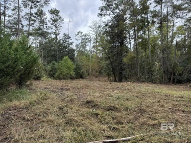 Beach Lot For Sale in Silverhill, Alabama